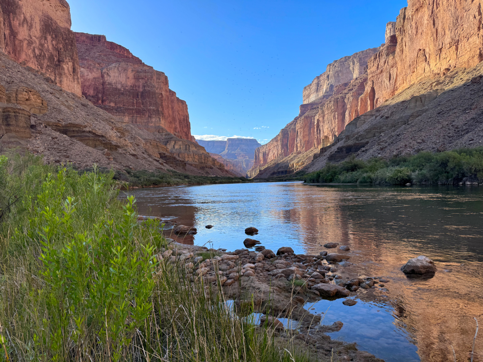 Photo of Colorado River in Grand Canyon taken from Kwagunt Beach, 2026