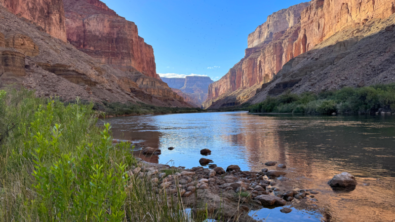 Photo of Colorado River in Grand Canyon taken from Kwagunt Beach, 2026